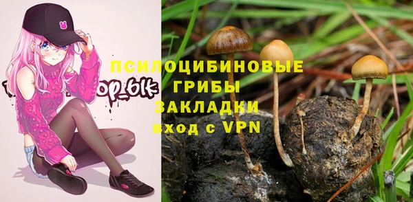 гидропоника Абинск