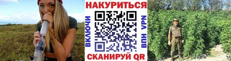 МЕГА зеркало  купить  сайты  Исилькуль  Шишки марихуана Ganja 